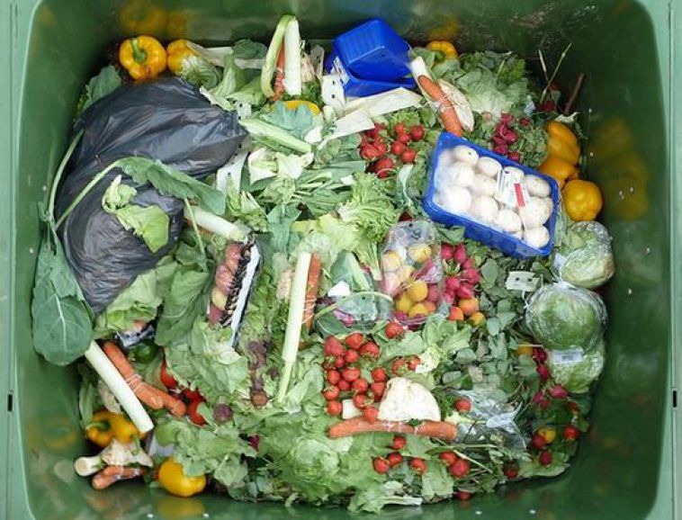 gaspillage-alimentaire-nourriture-poubelle.jpg