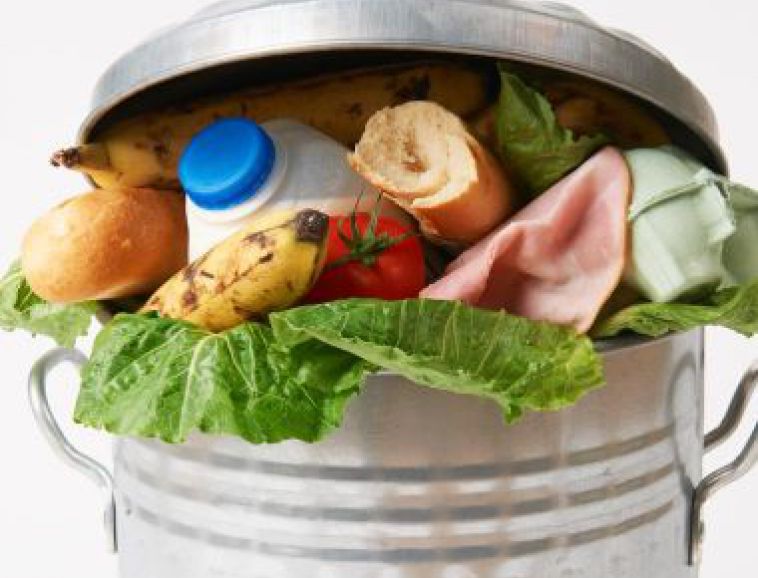 gaspillage-alimentaire.jpg