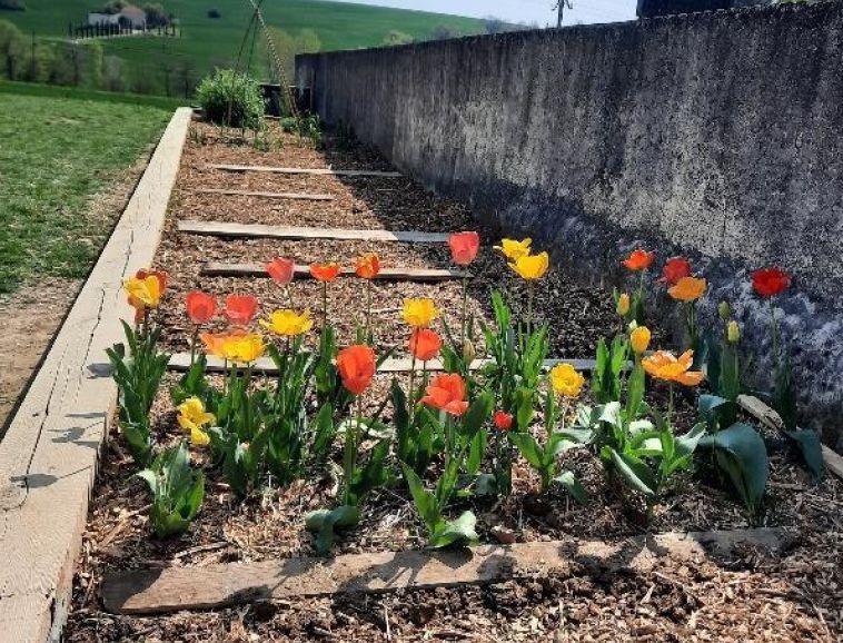 Jardin Ecole Fray le Clos (2).jpg