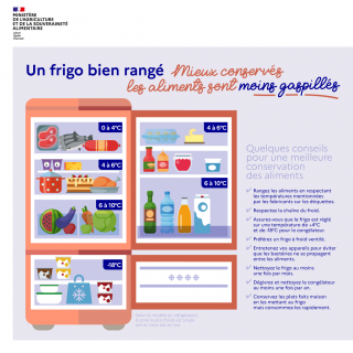 Infographie_Un frigo bien rangé.png